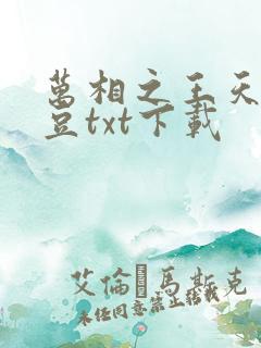 万相之王天蚕土豆txt下载