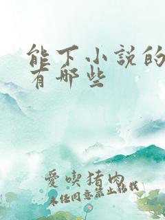 能下小说的网站有哪些