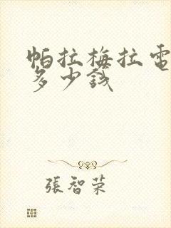 帕拉梅拉电动版多少钱