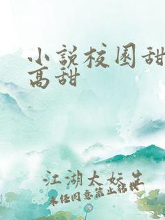 小说校园甜宠文高甜