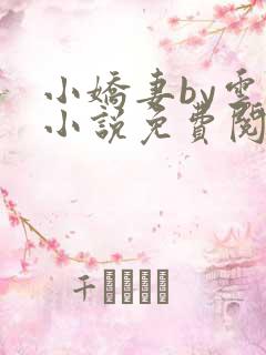 小娇妻by云间小说免费阅读