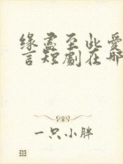 缘尽至此爱不再言短剧在哪看