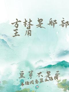 方林是哪部小说主角