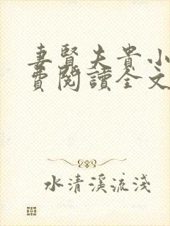 妻贤夫贵小说免费阅读全文