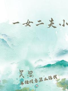 一女二夫小说