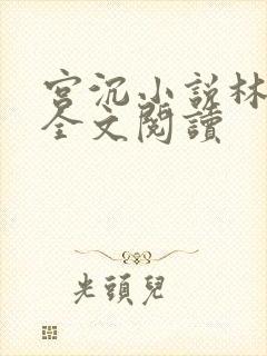 宫沉小说林知意全文阅读