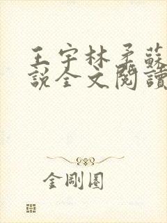 王宇林柔苏姐小说全文阅读