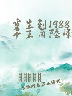 重生到1988年主角陆峰的小说