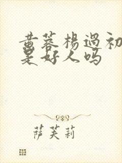 黄蓉杨过初云雨是好人吗