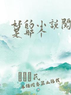 好的小说阅读器是哪个