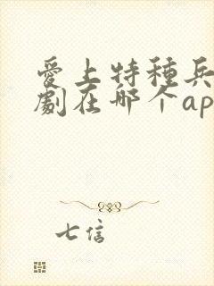 爱上特种兵电视剧在哪个app可以看