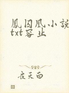 凤囚凰小说原著txt容止