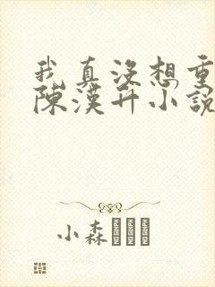 我真没想重生啊陈汉升小说无弹窗