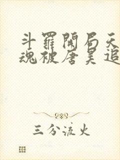 斗罗开局天使武魂被唐昊追杀下载