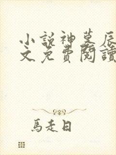 小说神墓辰东全文免费阅读