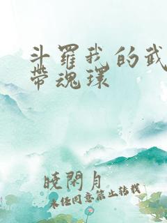 斗罗我的武魂自带魂环