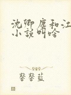 沈卿尘和江稚的小说叫啥