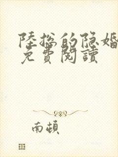 陆总的隐婚娇妻免费阅读 陆总的隐婚娇妻免费阅读