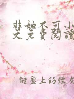 非她不可小说全文免费阅读无弹窗