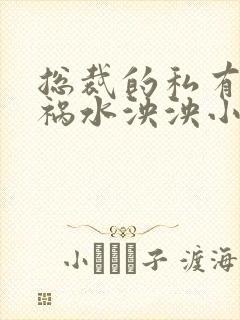 总裁的私有宝贝祸水泱泱小说免费阅读