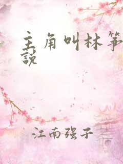 主角叫林筝的小说