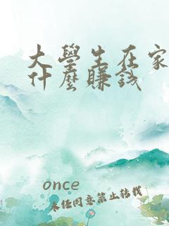 大学生在家能干什么赚钱