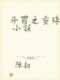 斗罗之灵珠神剑 小说