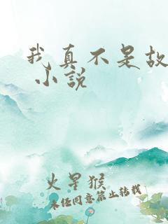 我真不是故意的 小说