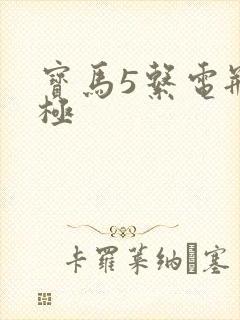 宝马5系电瓶负极 宝马5系电瓶负极