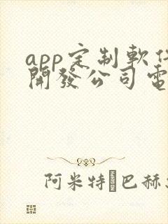 app定制软件开发公司电话
