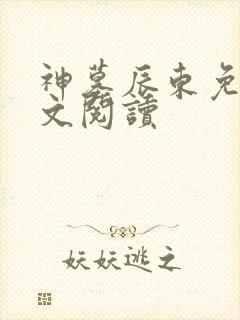 神墓辰东免费全文阅读