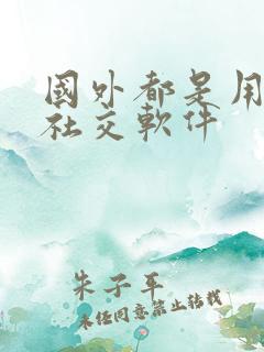 国外都是用什么社交软件