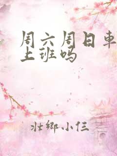 周六周日车管所上班吗