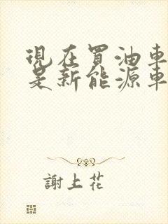 现在买油车好还是新能源车好