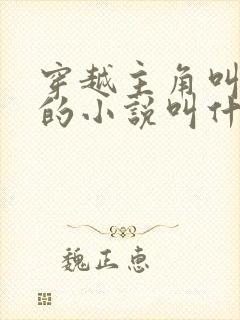 穿越主角叫沈浪的小说叫什么名字