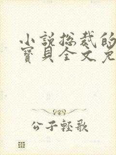 小说总裁的私有宝贝全文免费阅读