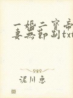 一婚二宝帝少宠妻无节制txt下载