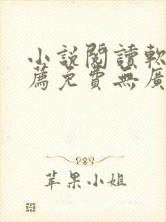 小说阅读软件推荐免费无广告