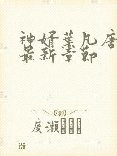 神婿叶凡唐若雪最新章节
