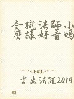 全职法师小说怎么样好看吗