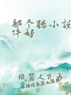 那个听小说的软件好