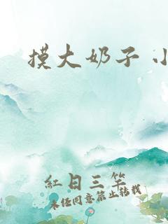 摸大奶子 小说