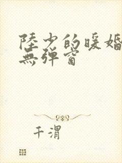 陆少的暖婚新妻无弹窗 陆少的暖婚新妻无弹窗