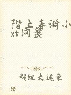阶上春漪小说txt网盘