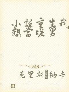小说重生我真没想当暖男
