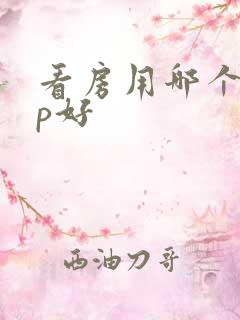 看房用哪个app好