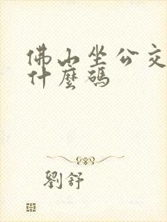 佛山坐公交车用什么码