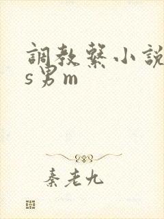 调教系小说,女s男m