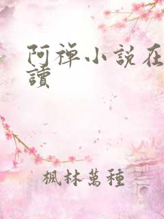 阿禅小说在线阅读