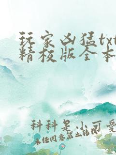 玩家凶猛txt精校版全本下载